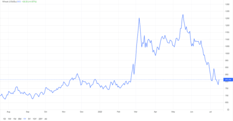 Wheat Prices Fall to Pre-Ukraine-Invasion Levels