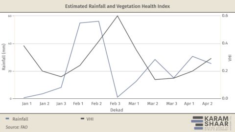 Syria May Be Facing Its Worst Drought in Decades