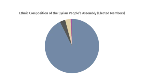 The Syrian People’s Assembly 2025: Electoral Results and Representation Gaps