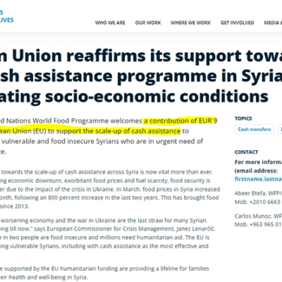 Dear European Commission: Pick One