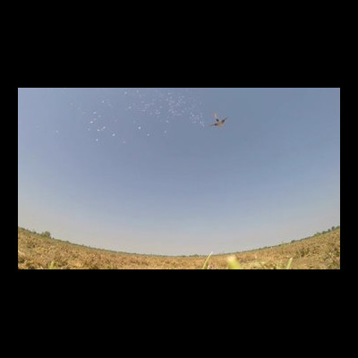 Assad’s Regime: Yet More Family Members Assume Positions at the UN Assad’s Regime: Yet More Family Members Assume Positions at the UN