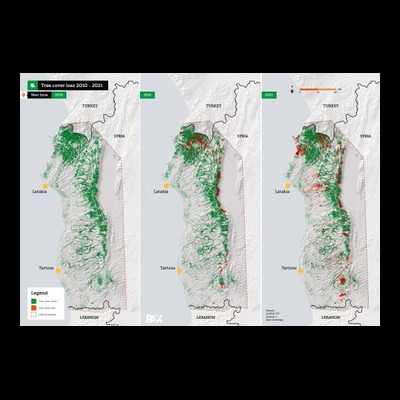 Syria forest destruction| Karam Shaar Advisory LTD Syria forest destruction